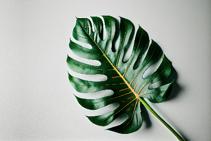 甜宠文推荐巨甜有肉