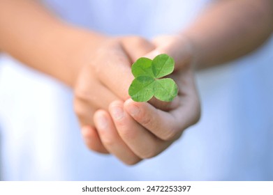 怡红院补丁下载